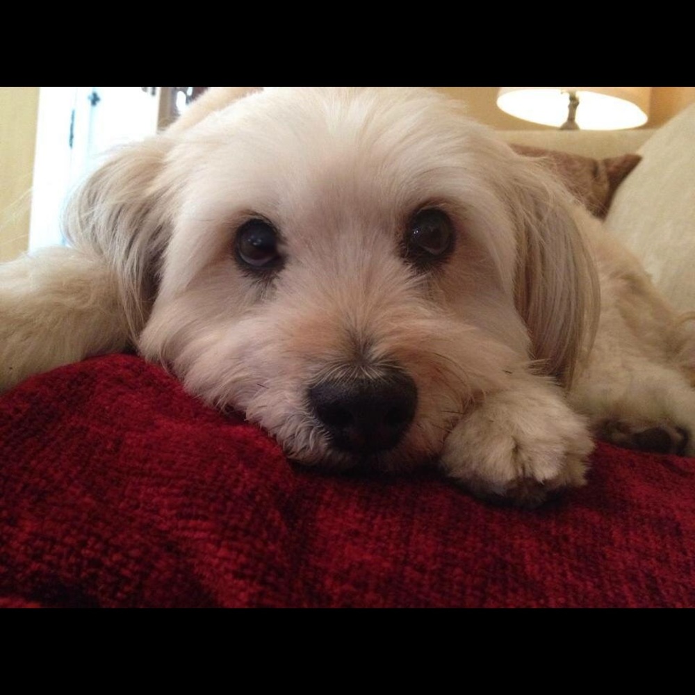 Meet your Posher, Jo.